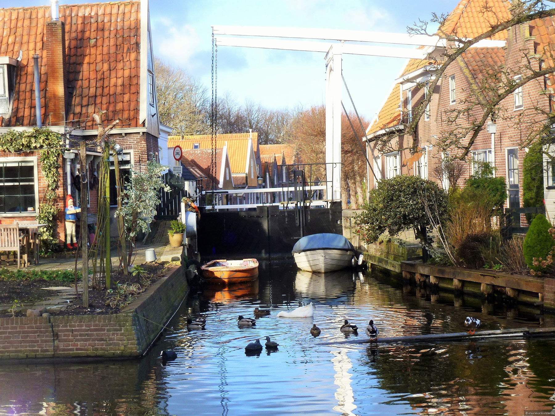 Edam